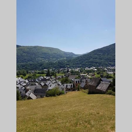 St Lary-Vignec Charmant Studio Au Calme エクステリア 写真