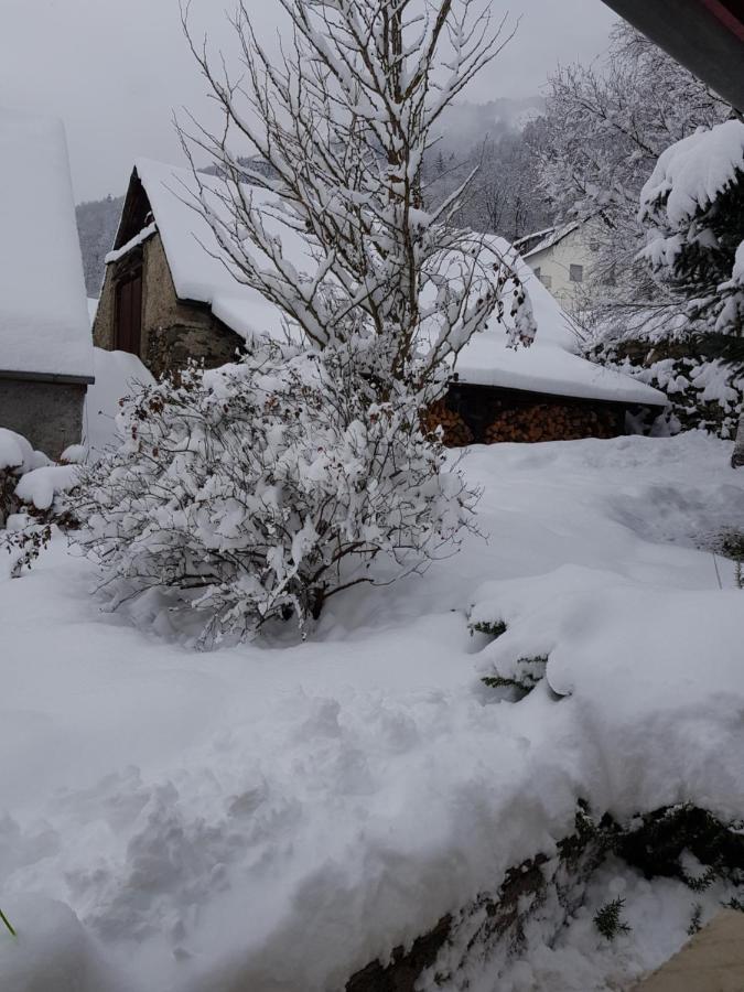 St Lary-Vignec Charmant Studio Au Calme エクステリア 写真